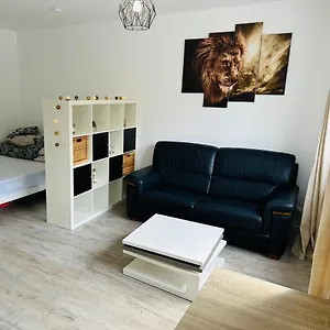 Tres Agreable A Villeurbanne